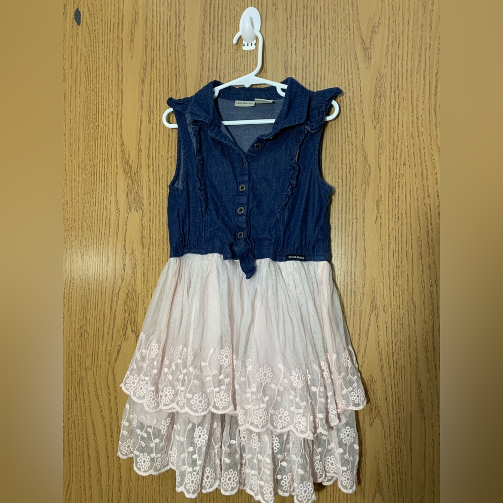 Calvin Klein Jeans Blue and Pink Kids Dress